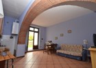 wohnungen campiglia marittima
