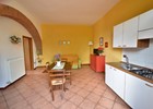 wohnungen campiglia marittima