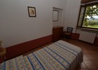 wohnungen campiglia marittima
